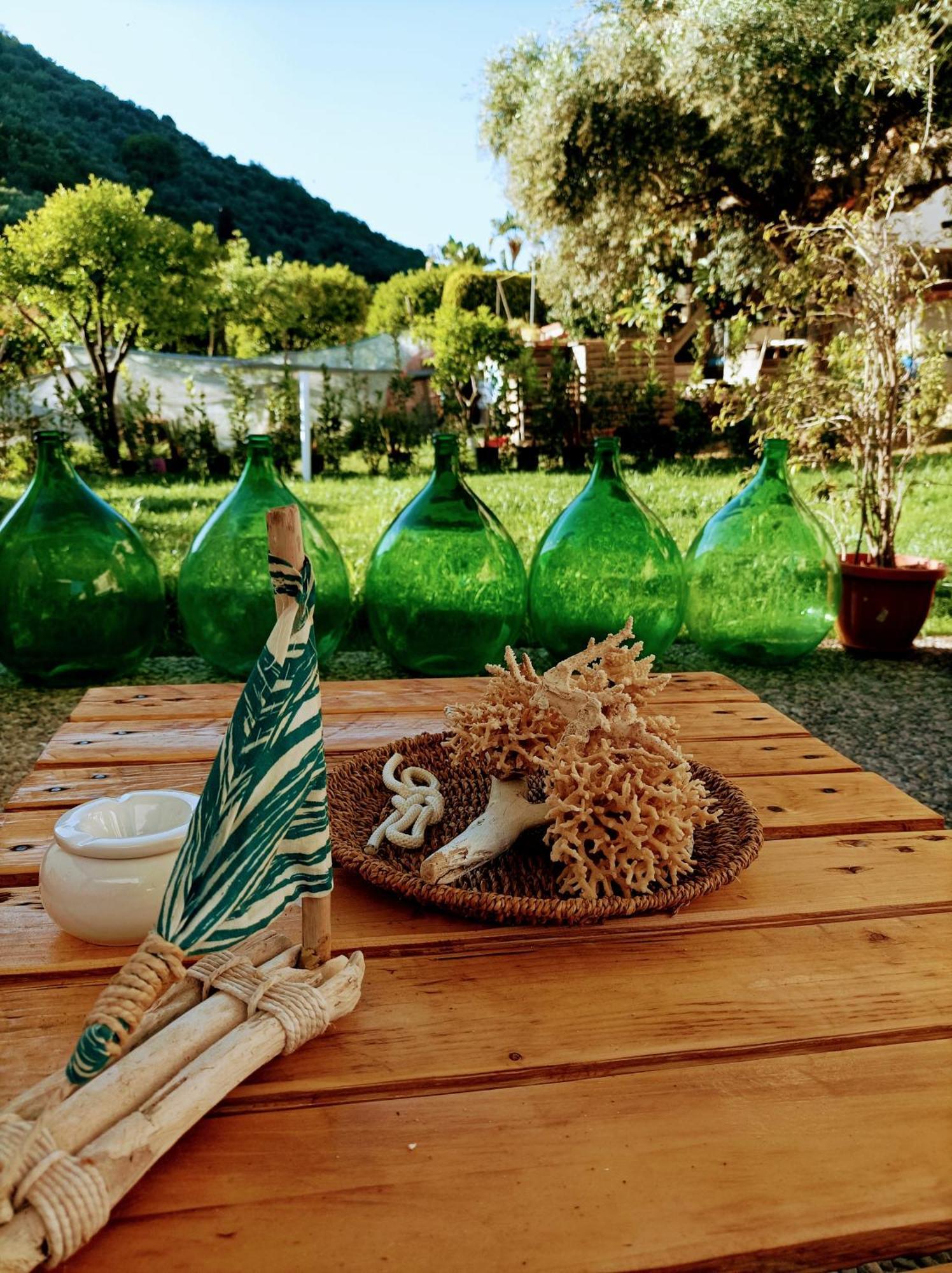 Laris Bed & Breakfast Castellabate Luaran gambar